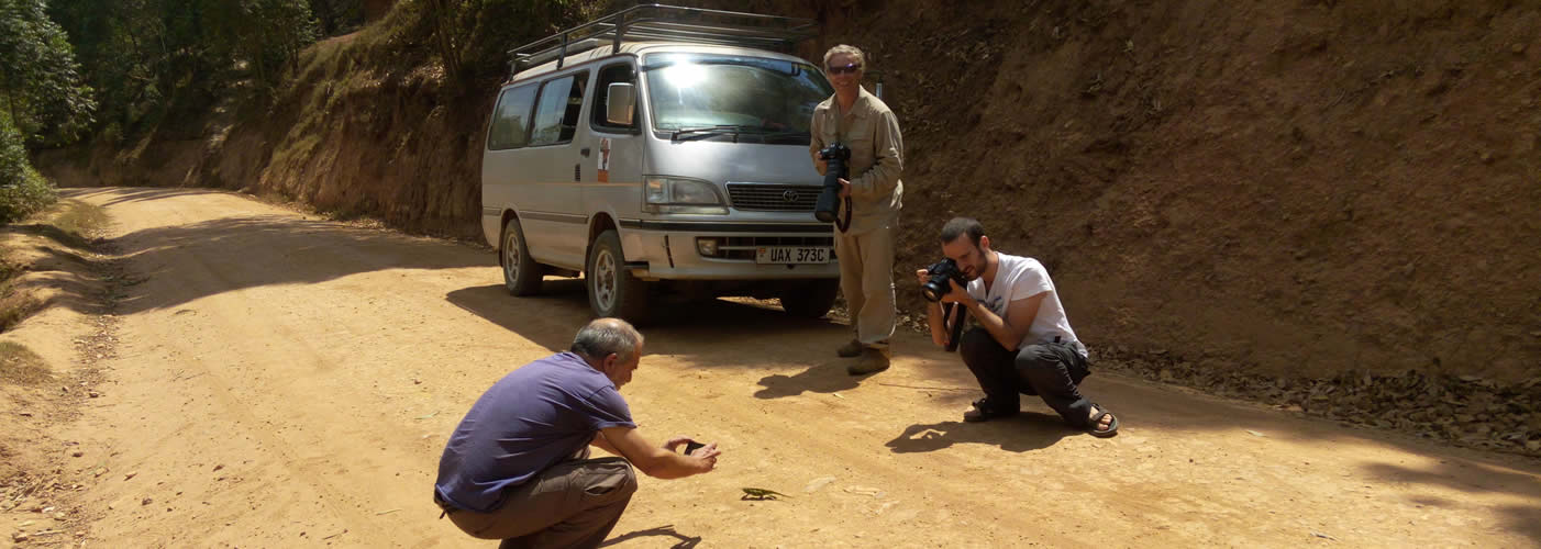 Safari Van for hIRE bANNER