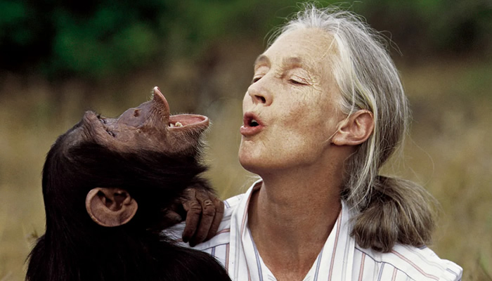The World’s famous Primatologist Jane Goodall dies at 91